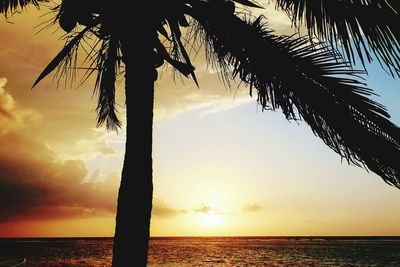 Silhouette palm tree by sea against sky during sunset