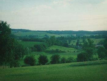 Scenic view of grassy field against sky