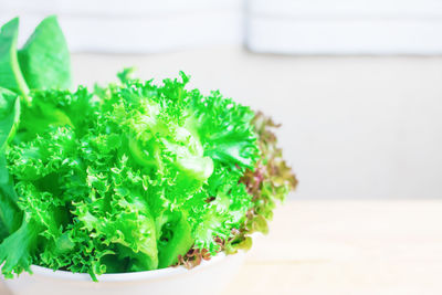 Close-up of vegetables on table