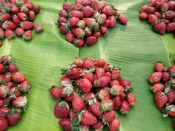 High angle view of fruits on leaves