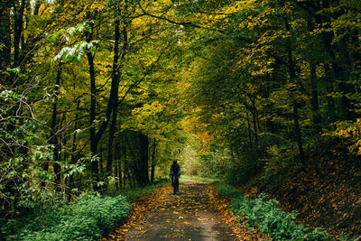 Rear view of woman walking in forest