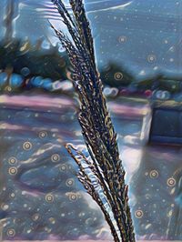 High angle view of wet car by sea