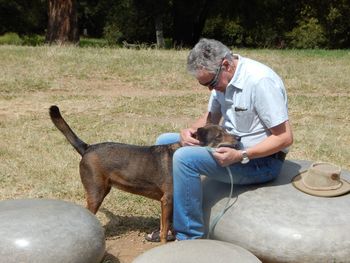 Man with dog sitting on seat