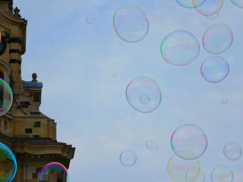 Close-up of tree against blue sky