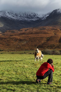 Rear view of man photographing cow on field against mountain