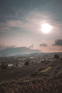 Scenic view of agricultural field against sky during sunset