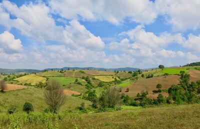 Scenic view of landscape against sky