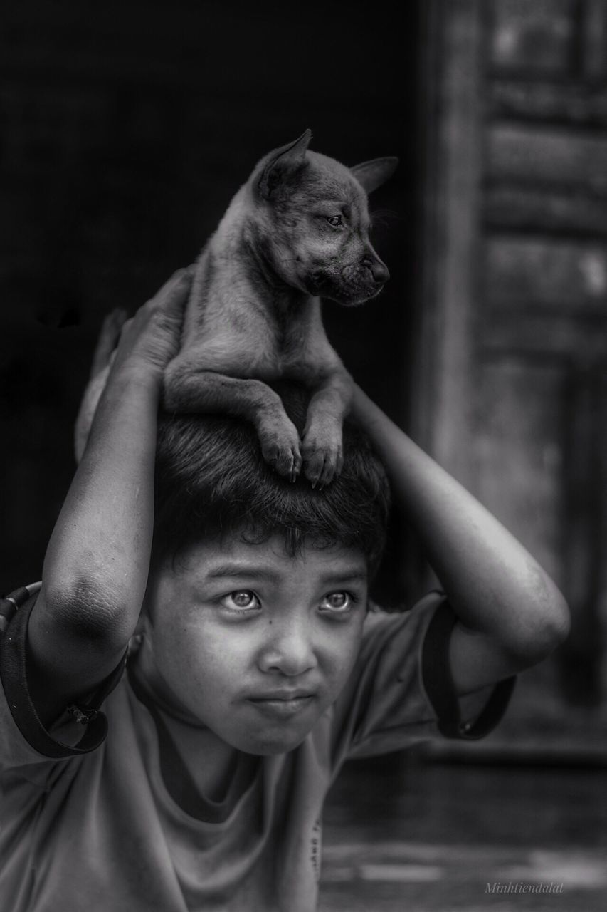 childhood, portrait, child, boys, one person, males, real people, mammal, lifestyles, looking at camera, men, domestic, one animal, pets, front view, indoors, innocence