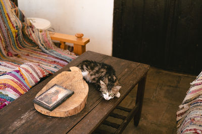 Cat sleeping in a home