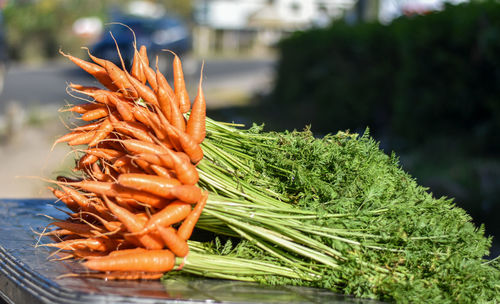 Close-up of orange vegetables for sale in market