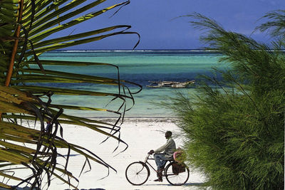 Bicycles on beach against sky