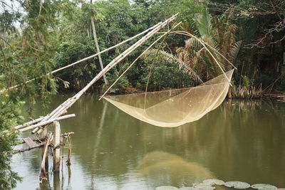Reflection of trees in lake
