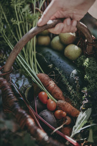 High angle view of hand holding vegetables