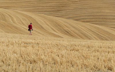 Man walking in wheat field