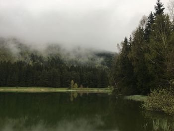 Scenic view of lake in forest against sky