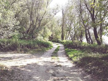 Road amidst trees against sky