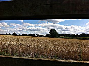 Scenic view of field against cloudy sky