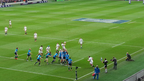 People on grassy field