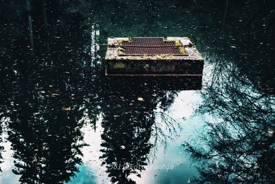 Reflection of trees in puddle