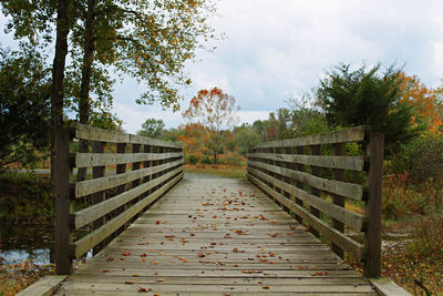 Footbridge amidst trees against sky