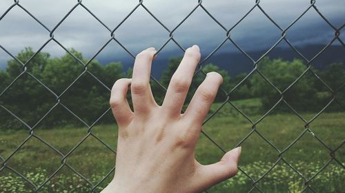 Cropped image of woman holding chainlink fence against landscape