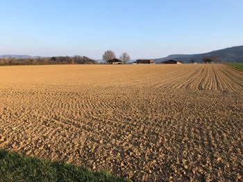 Scenic view of field against clear sky