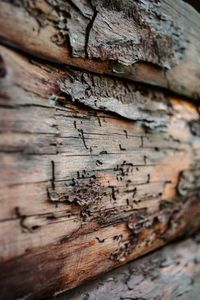 Close-up of weathered wood