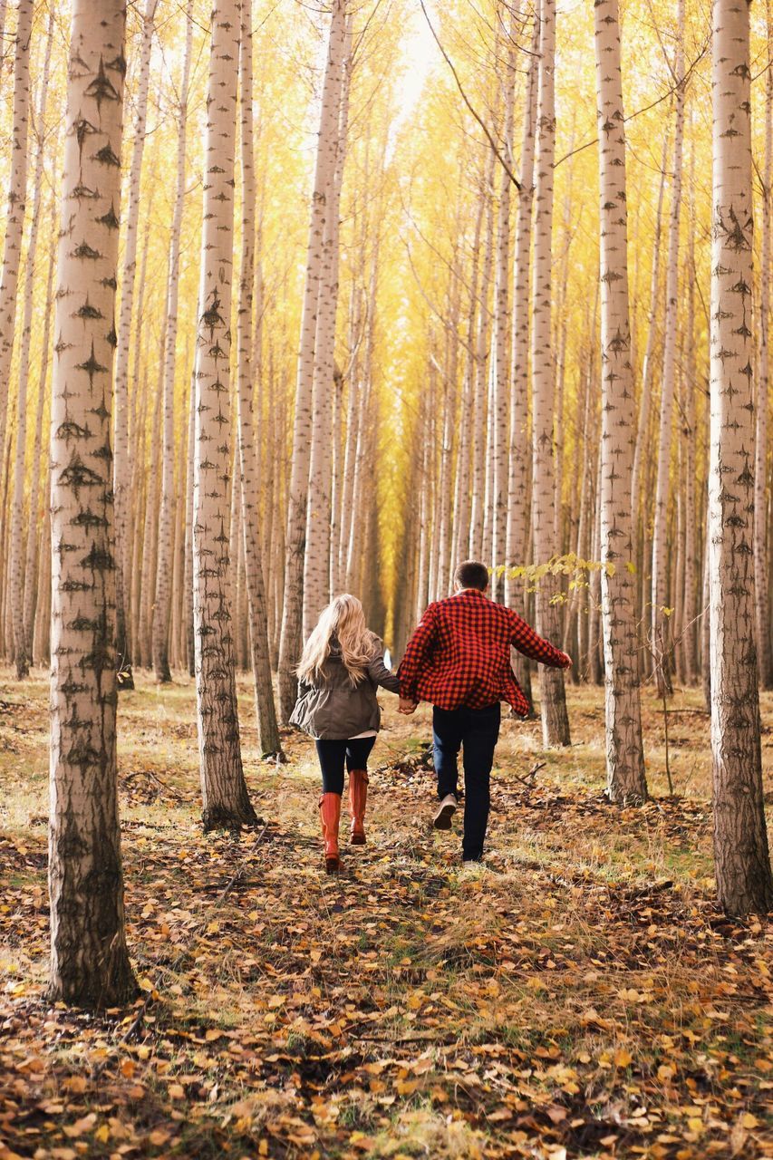 two people, full length, nature, walking, men, outdoors, togetherness, forest, warm clothing, adult, people, bonding, women, rear view, tree, sunset, winter, real people, adults only, beauty in nature, day