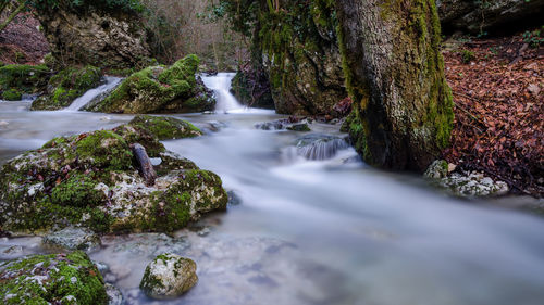 Scenic view of waterfall in forest against sky