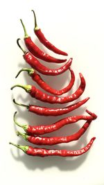 Close-up of red chili pepper against white background