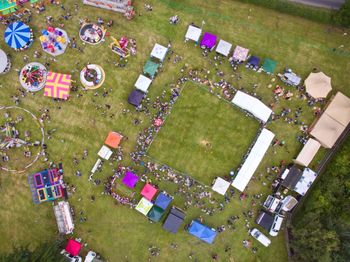 High angle view of grass