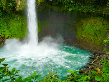 Scenic view of waterfall