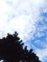 Low angle view of trees against cloudy sky