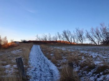 Bare trees on landscape against clear blue sky