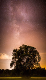 Low angle view of starry sky