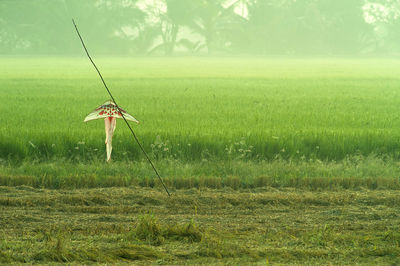 Wind turbines on field against sky