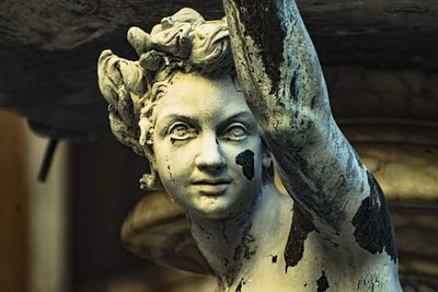 Close-up of statue