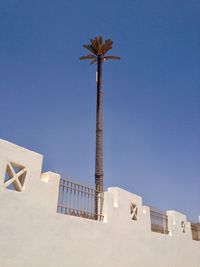 Low angle view of palm tree against blue sky