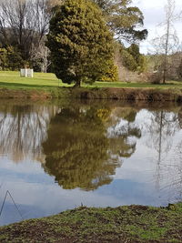 Reflection of trees in lake against sky