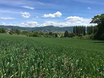 Scenic view of field against cloudy sky