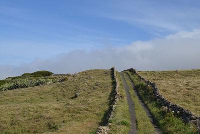 Panoramic view of agricultural field against sky