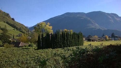 Scenic view of trees and mountains against sky