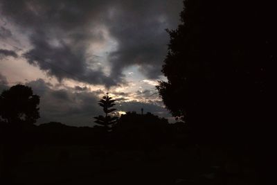 Low angle view of silhouette trees against sky at sunset