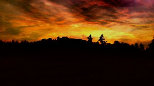 Silhouette of trees at sunset