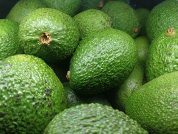 Close-up of avocado for sale in market