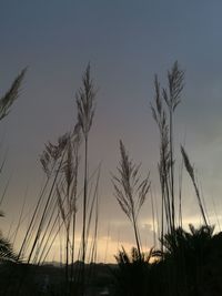 Scenic view of landscape against sky at sunset