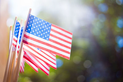 Close-up of small american flags outdoors