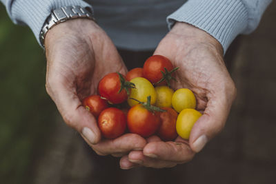 Person holding tomatoes