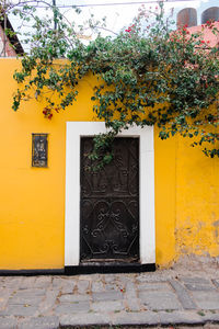 Closed door of building