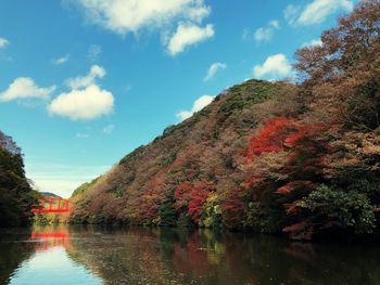 Scenic view of lake by trees against sky